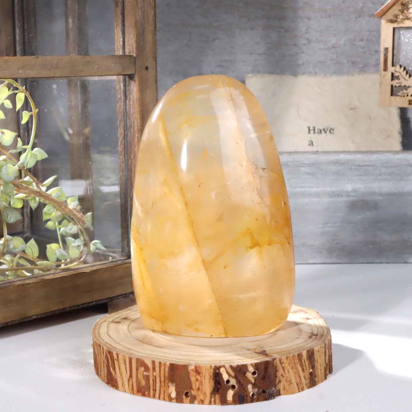 Golden Healer Free Form