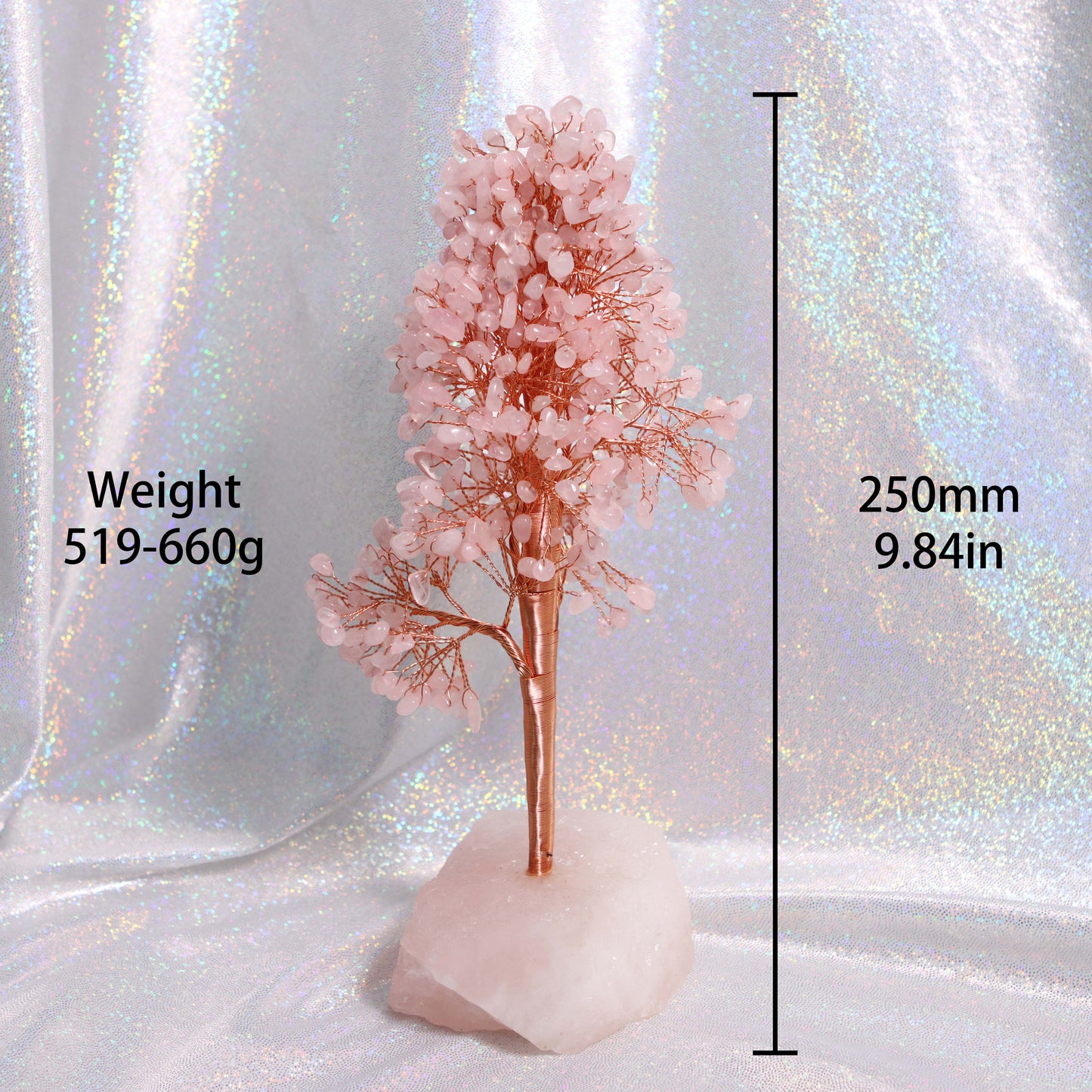 Money Tree - Lucky Feng Shui Plant for Prosperity and Wealth