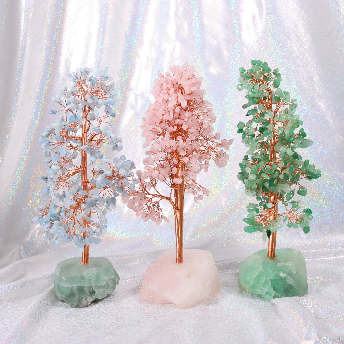 Money Tree - Lucky Feng Shui Plant for Prosperity and Wealth