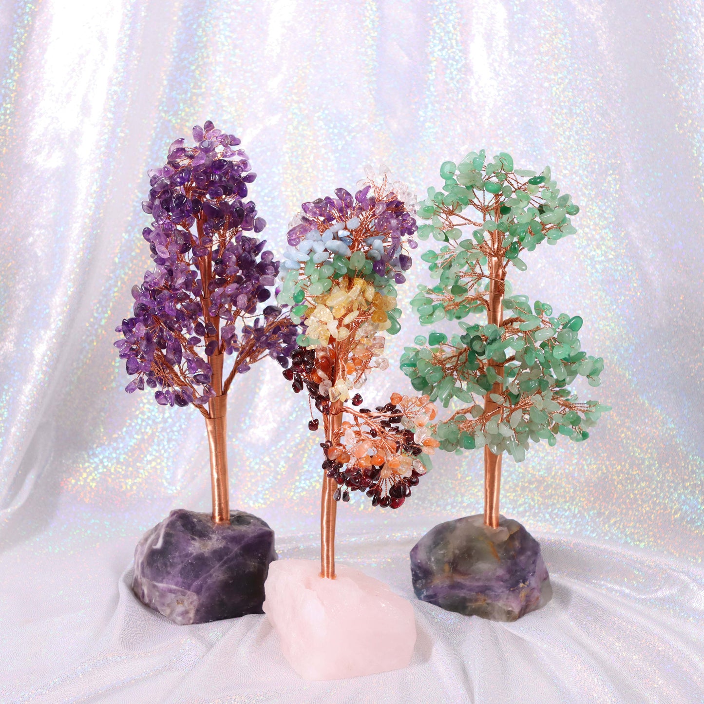 Money Tree - Lucky Feng Shui Plant for Prosperity and Wealth