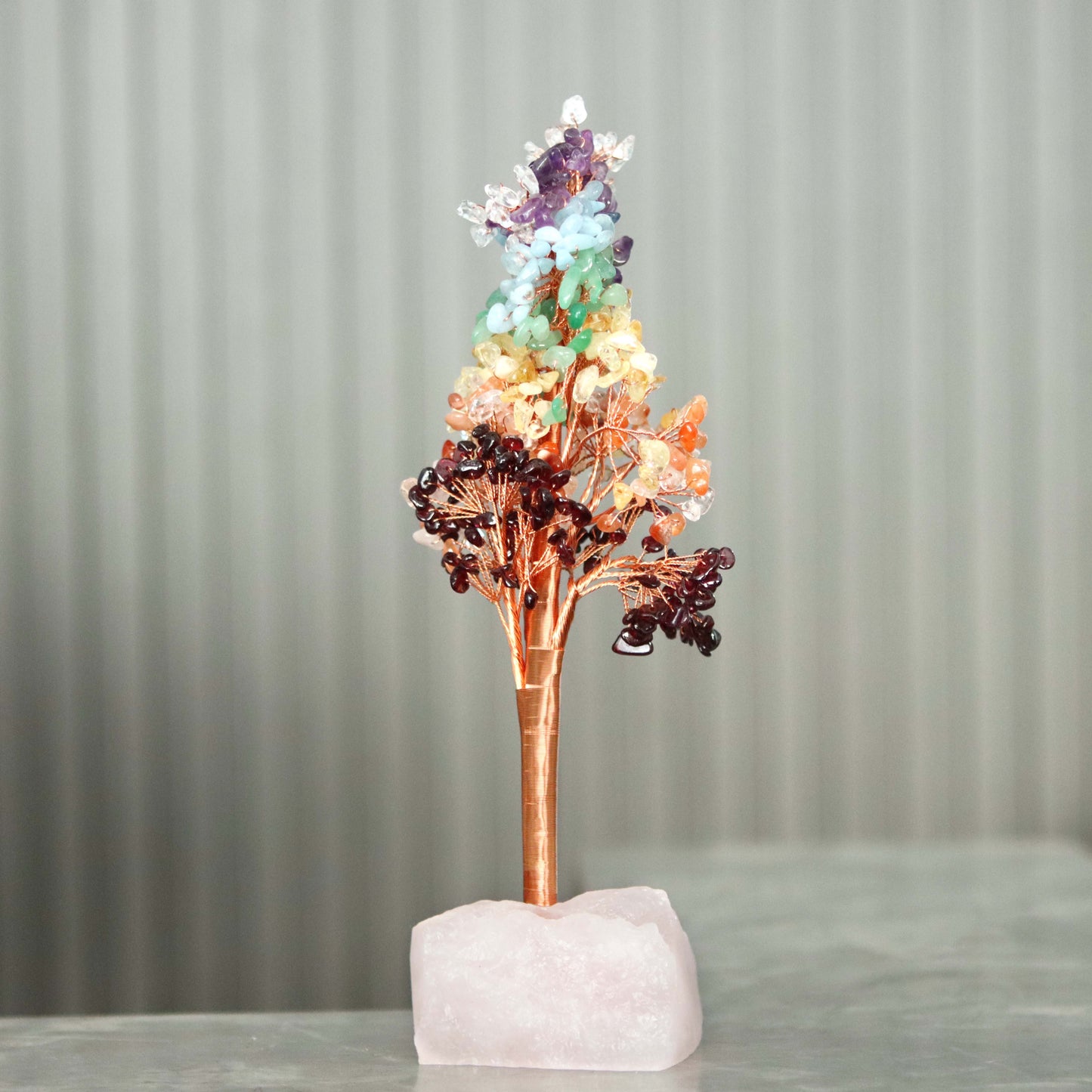 Money Tree - Lucky Feng Shui Plant for Prosperity and Wealth