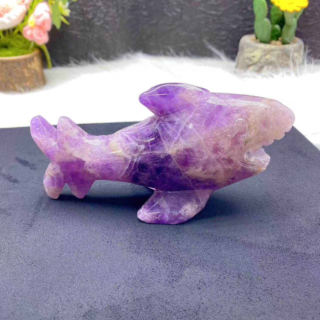 Dream Amethyst Shark