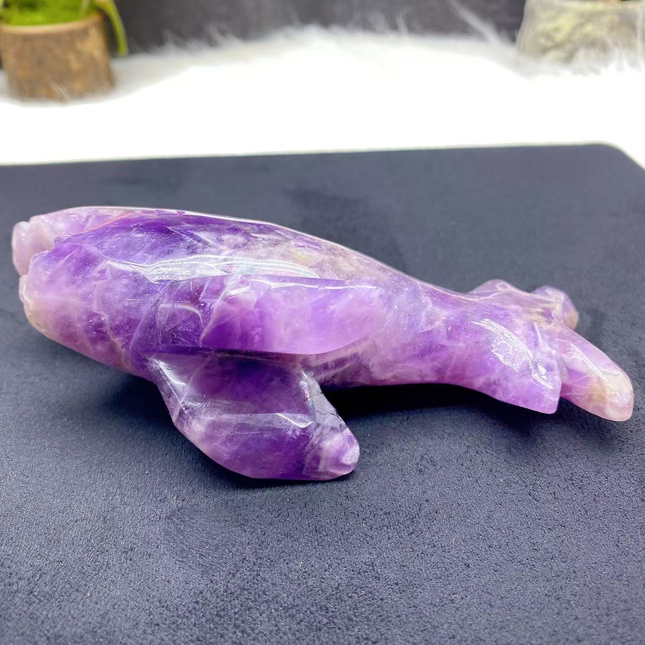 Dream Amethyst Shark