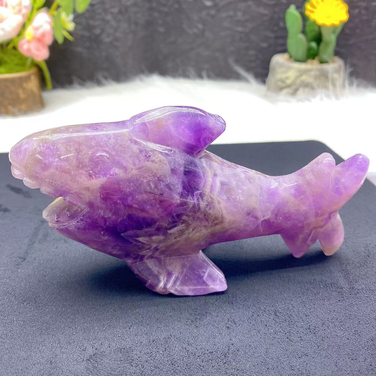 Dream Amethyst Shark