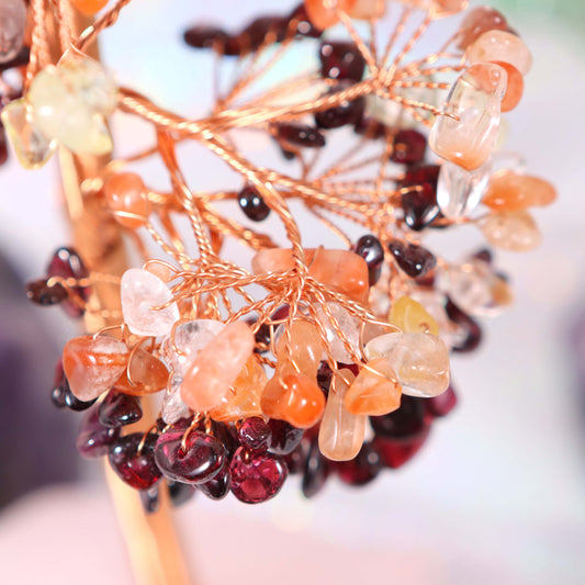 Money Tree - Lucky Feng Shui Plant for Prosperity and Wealth