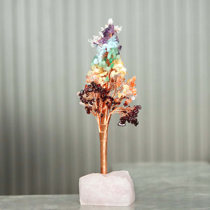 Money Tree - Lucky Feng Shui Plant for Prosperity and Wealth