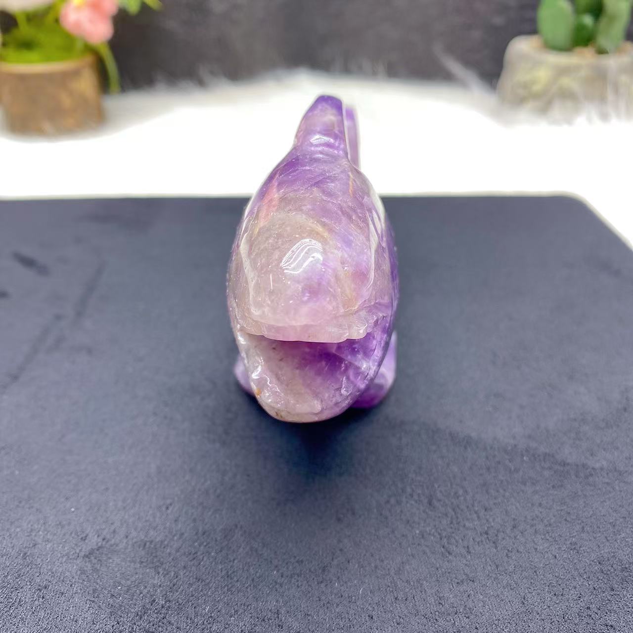 Dream Amethyst Shark